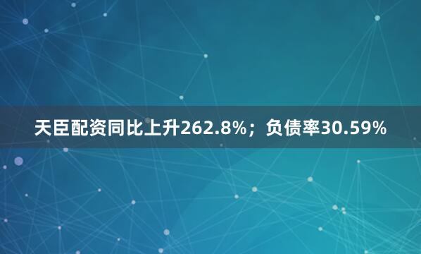 天臣配资同比上升262.8%;负债率30.59%