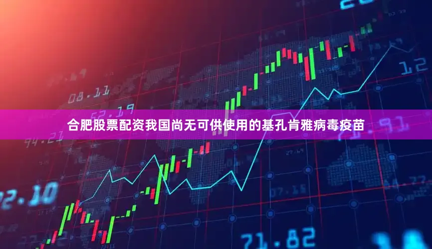 合肥股票配资我国尚无可供使用的基孔肯雅病毒疫苗