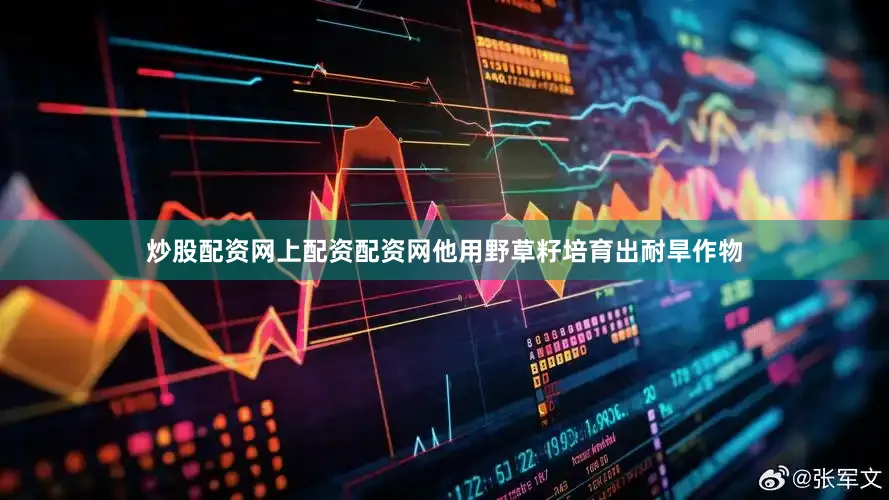 炒股配资网上配资配资网他用野草籽培育出耐旱作物