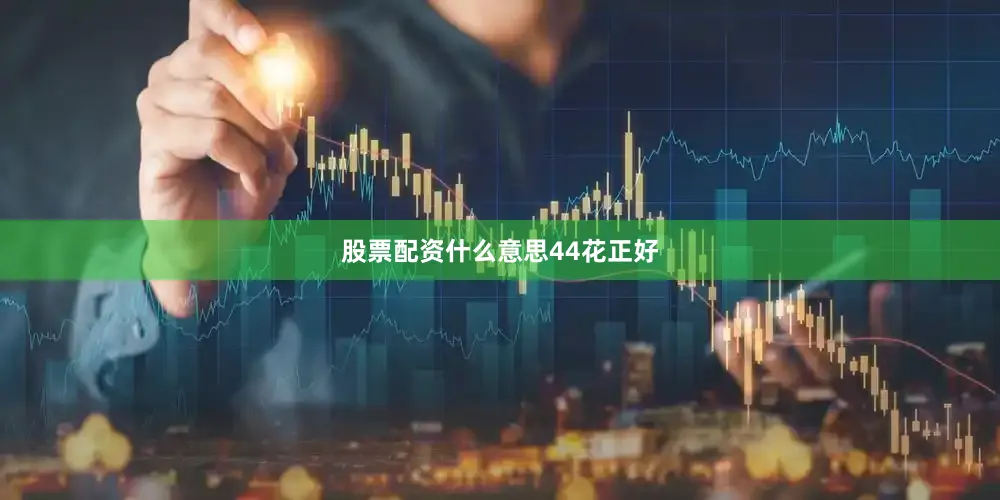 股票配资什么意思44花正好